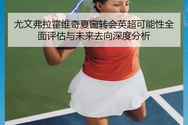 尤文弗拉霍维奇夏窗转会英超可能性全面评估与未来去向深度分析